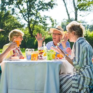 Senioren am Gartentisch im Grünen mit bunten Früchten und Getränken auf dem Tisch im Sommer